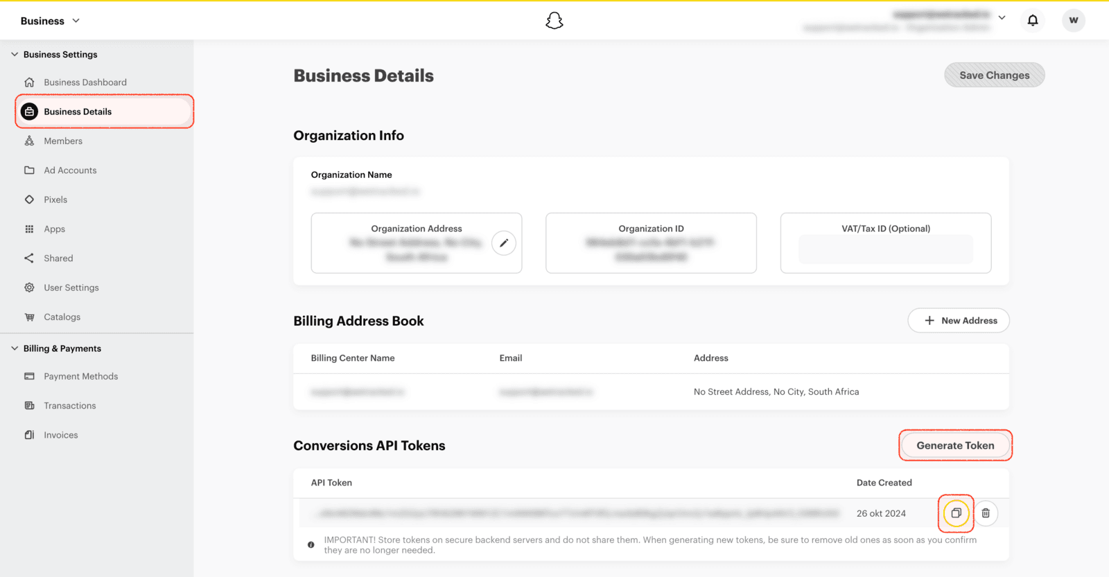 Snapchat: Business Details with the Conversions API Tokens section